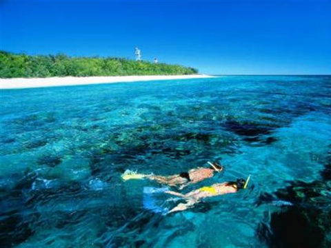 Lady Elliot Island Eco Resort - Day Trip - Accommodation NSW 0