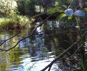 Mary Anns Cottage - Accommodation NSW 1