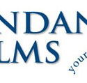 Pandanus Palms Holiday Resort - Accommodation NSW