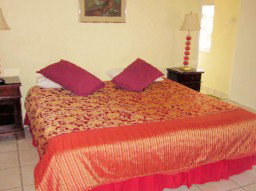 441 On The Esplanade - Accommodation NSW 4