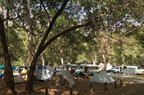 Adder Rock Camping Ground - Accommodation NSW 0