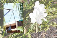 Cleveland Visitor Villas Motel - Accommodation NSW 2