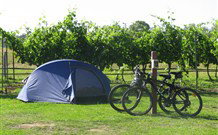 Active Holidays BIG4 Hunter Valley - Accommodation NSW 4