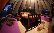Aranyani Bison Adventure Tourist Park - Accommodation NSW 0