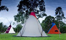 Aranyani Bison Adventure Tourist Park - Accommodation NSW 1