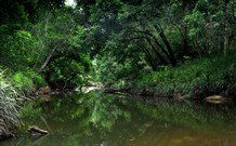 Aranyani Bison Adventure Tourist Park - Accommodation NSW 3