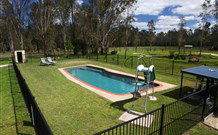 Aranyani Bison Adventure Tourist Park - Accommodation NSW 4