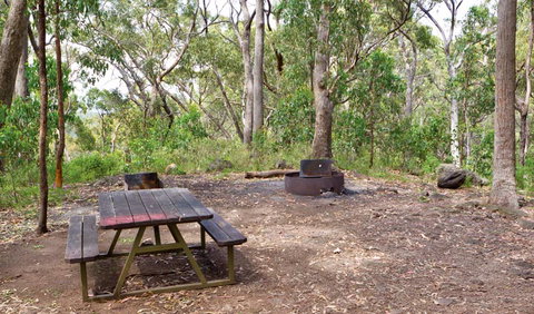 Bark Hut Picnic Area And Campground - Accommodation NSW 0