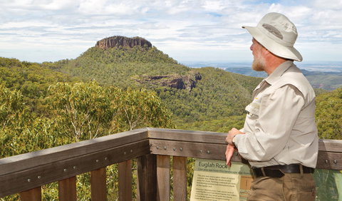 Bark Hut Picnic Area And Campground - Accommodation NSW 2