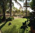Comeroo Camel Station - Accommodation NSW