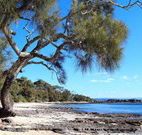 Currarong Beachside Holiday Park - Accommodation NSW