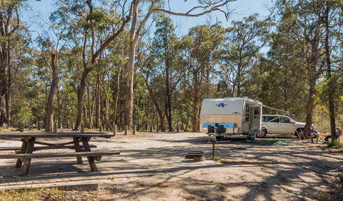 Cypress-pine Campground - Accommodation NSW 1