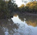 Four Mile Camping Reserve - Accommodation NSW