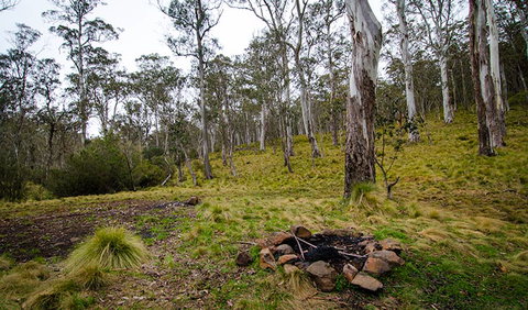 Gummi Falls Campground - Accommodation NSW 0