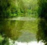Mangrove Yoga Ashram - Accommodation NSW