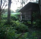 Melaleuca Surfside Backpackers - Accommodation NSW