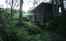 Melaleuca Surfside Backpackers - Accommodation NSW 0