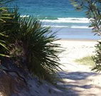 Myola Tourist Resort Caravan Park - Accommodation NSW