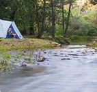 Nymboida Camping  Canoeing - Accommodation NSW