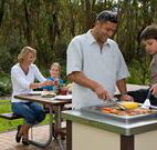 Port Stephens Treescape - Accommodation NSW