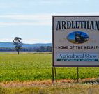 The Ardlethan Kelpie Caravan Park - Accommodation NSW