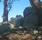 Warreen Farmstay Rural Accommodation - Accommodation NSW