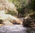 Wee Jasper Reserves Camping Sites - Accommodation NSW