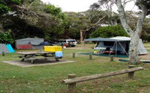 Woody Head Camping Reserve - Accommodation NSW 1