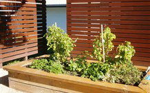 Woolgoolga Beach Holiday Park - Accommodation NSW 4