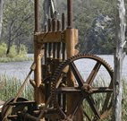 Yalwal Camp Ground - Accommodation NSW