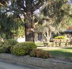 Hamilton Hume Motor Inn - Yass - Accommodation NSW