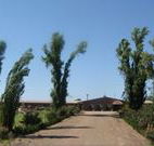 Newell Motor Inn - Narrandera - Accommodation NSW