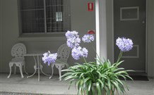 Pine Lodge Motel - Woolgoolga - Accommodation NSW 0