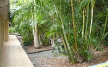 Tiarri Terrigal - Terrigal - Accommodation NSW 2