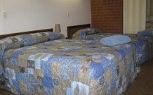 Top Town Motel - Accommodation NSW 0