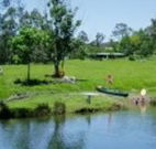 Bellingen Farmstay - Accommodation NSW