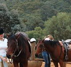 Clark Bay Cottages - Accommodation NSW