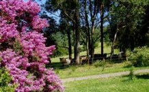 Historic Roseneath Station - Accommodation NSW 5