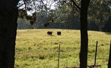 Historic Roseneath Station - Accommodation NSW 6