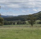 Ingleden Park Bed And Breakfast Farmstay Cottages - Accommodation NSW