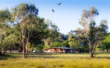 Starline Alpaca Farm Stay - Accommodation NSW 2