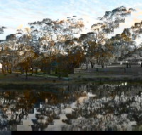 Greysen Farmstay - Accommodation NSW