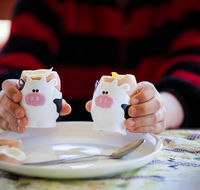 Cosy Cow Farmstay Bed and Breakfast - Accommodation NSW