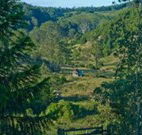 Yarralong BnB and Farm Stay - Accommodation NSW