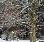 Bethany Manor Bed and Breakfast - Accommodation NSW