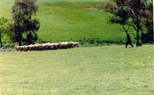 Hall ACT Accommodation NSW