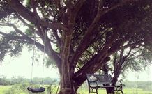 Kabana Luxury Accommodation - Accommodation NSW 3