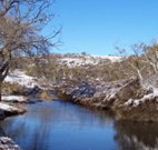 Mowamba River Lodge - Accommodation NSW