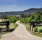 Pemberley Grange Hunter Valley Getaway - Accommodation NSW