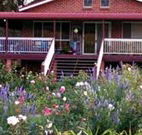Rose Patch Bed and Breakfast - Accommodation NSW